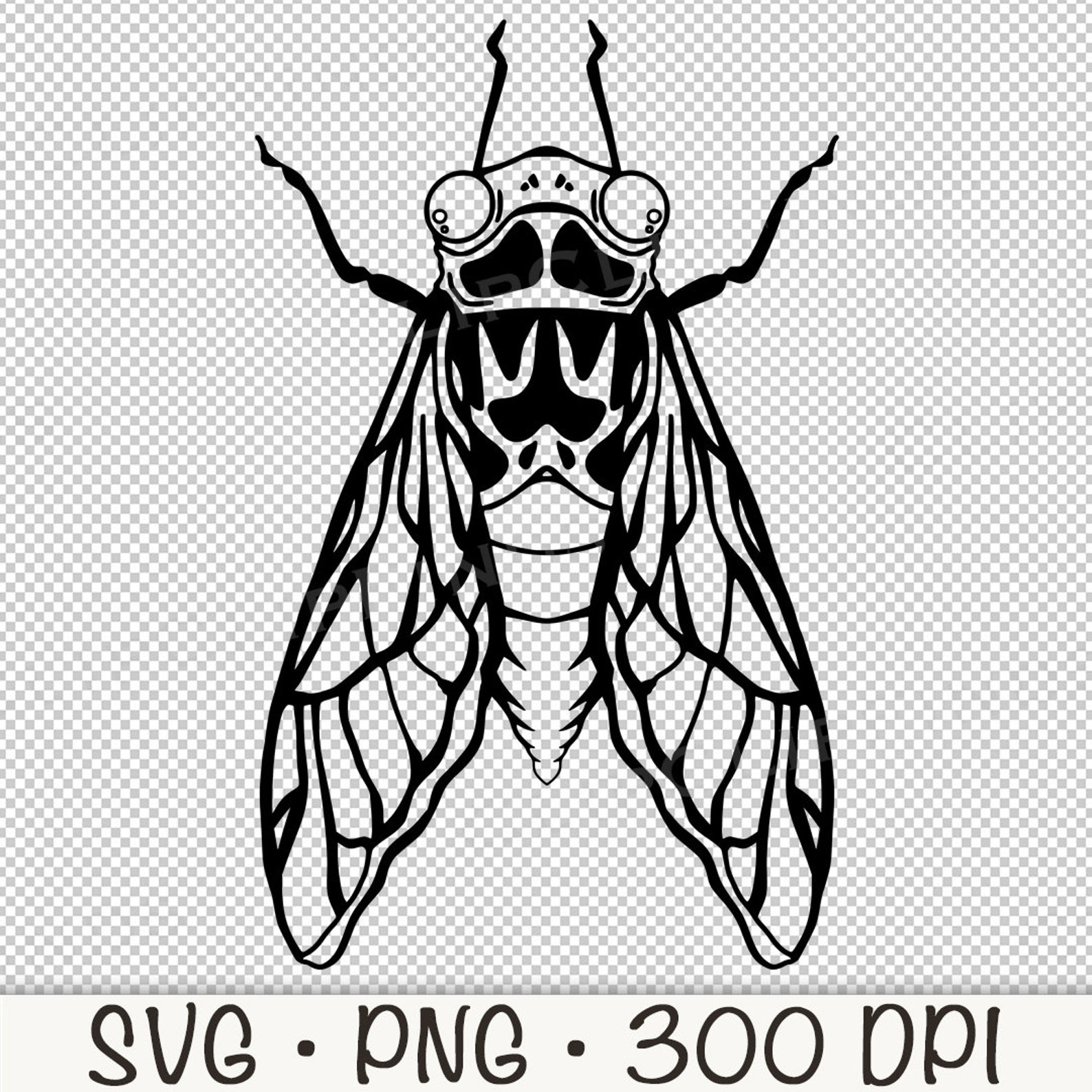 Cicada Shell Vector Cicada Outline: Vector SVG, PNG Clip Art (digital Download) - Etsy Canada