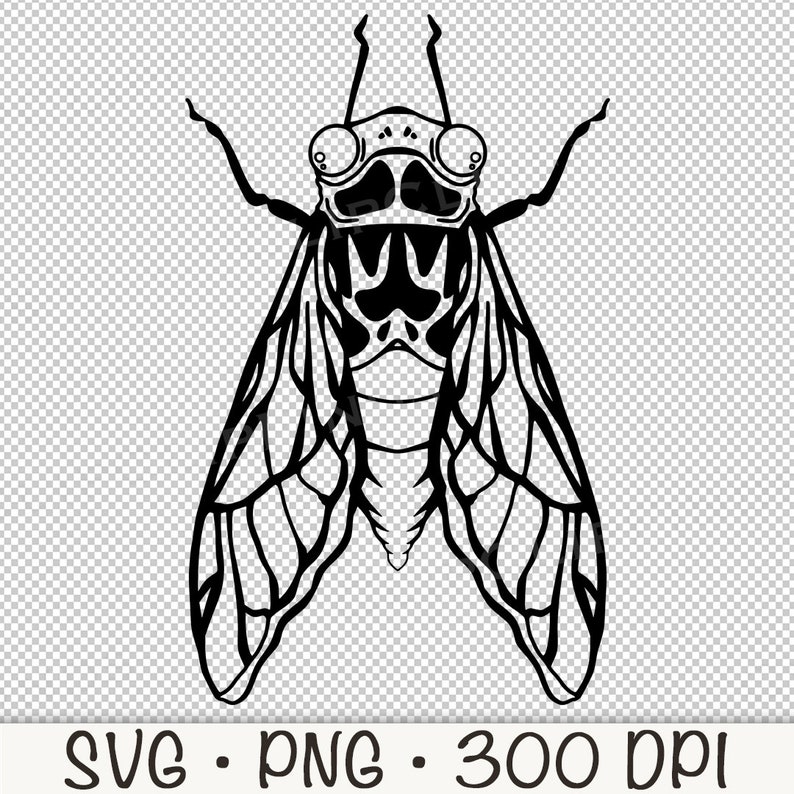 Cicada Shell Vector Cicada Outline: Vector SVG, PNG Clip Art (digital Download) - Etsy Canada