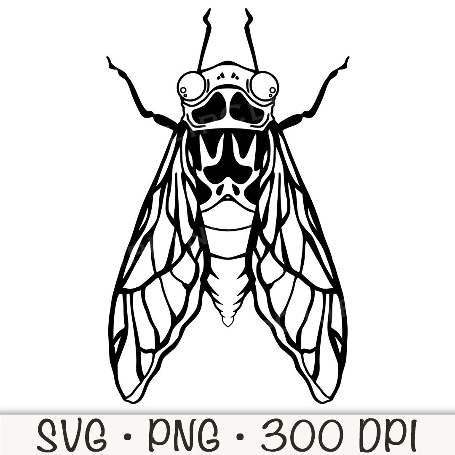 Cicada Shell Vector Cicada Outline: Vector SVG, PNG Clip Art (digital Download) - Etsy Canada