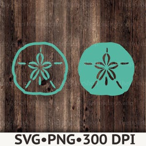 May include: Two teal sand dollar illustrations displayed side by side. The left image is an outline version, while the right image is a solid filled version. Both feature a central five-petaled star pattern and small radial markings.