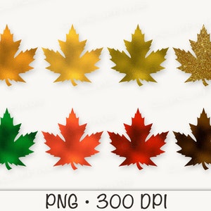 Blattgold und Glitzer Maple Leaf, Herbst, Herbst, Blätter, Thanksgiving, PNG transparenten Hintergrund, Clip Art, sofortiger digitaler Download