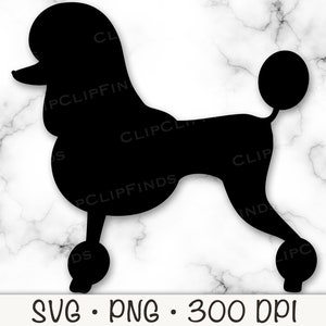 Poedel SVG, Franse poedel hond, vectorbestand knippen en transparante PNG-achtergrond, sublimatie, illustraties, instant digitale download