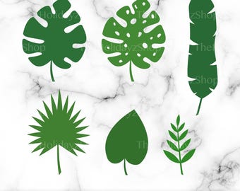 Pacchetto di foglie tropicali SVG, foglia di Monstera, foglie della giungla safari PNG, vettoriale, fogliame verde, file digitale scaricabile