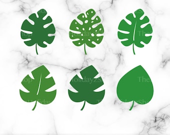 Pacchetto SVG di foglie di Monstera, clipart di foglie di Monstera, PNG, foglie tropicali, vettoriale, file digitale scaricabile