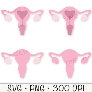Uterus, Ovaries, Organ, SVG, PNG, Clip Art, Sublimation, Instant Digital Download