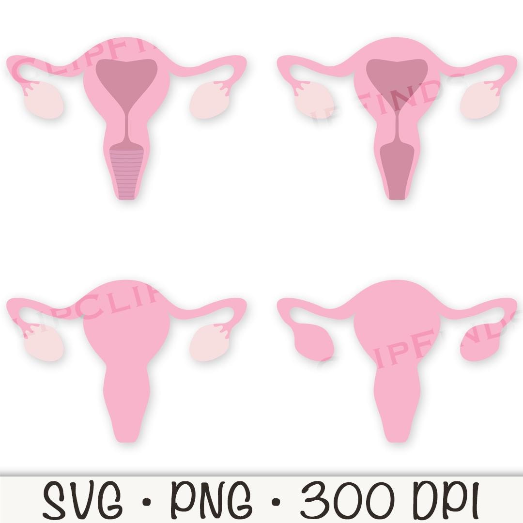 Uterus, Ovaries, Organ, SVG, PNG, Clip Art, Sublimation, Instant Digital Download