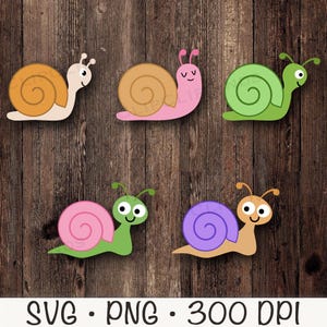 Snail Clipart, Cute Snail PNG, Snail SVG, Snail Bundle Pack, Vector, Digital Download File