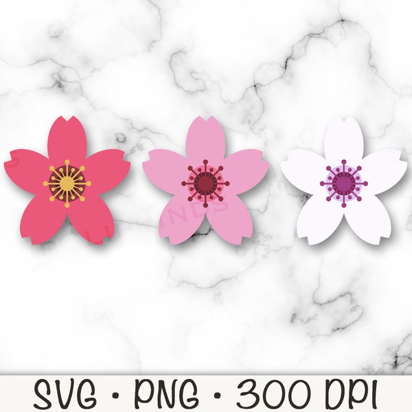 Cherry Blossom Bundle, Cherry Blossom SVG, Cherry Blossom PNG, Cherry Blossom Clipart, Digital Download