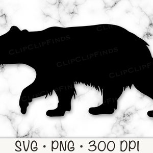 Bear SVG, Grizzly Bear, Bear Silhouette, Vector Cut File and PNG Transparent Background, Clipart, Instant Download