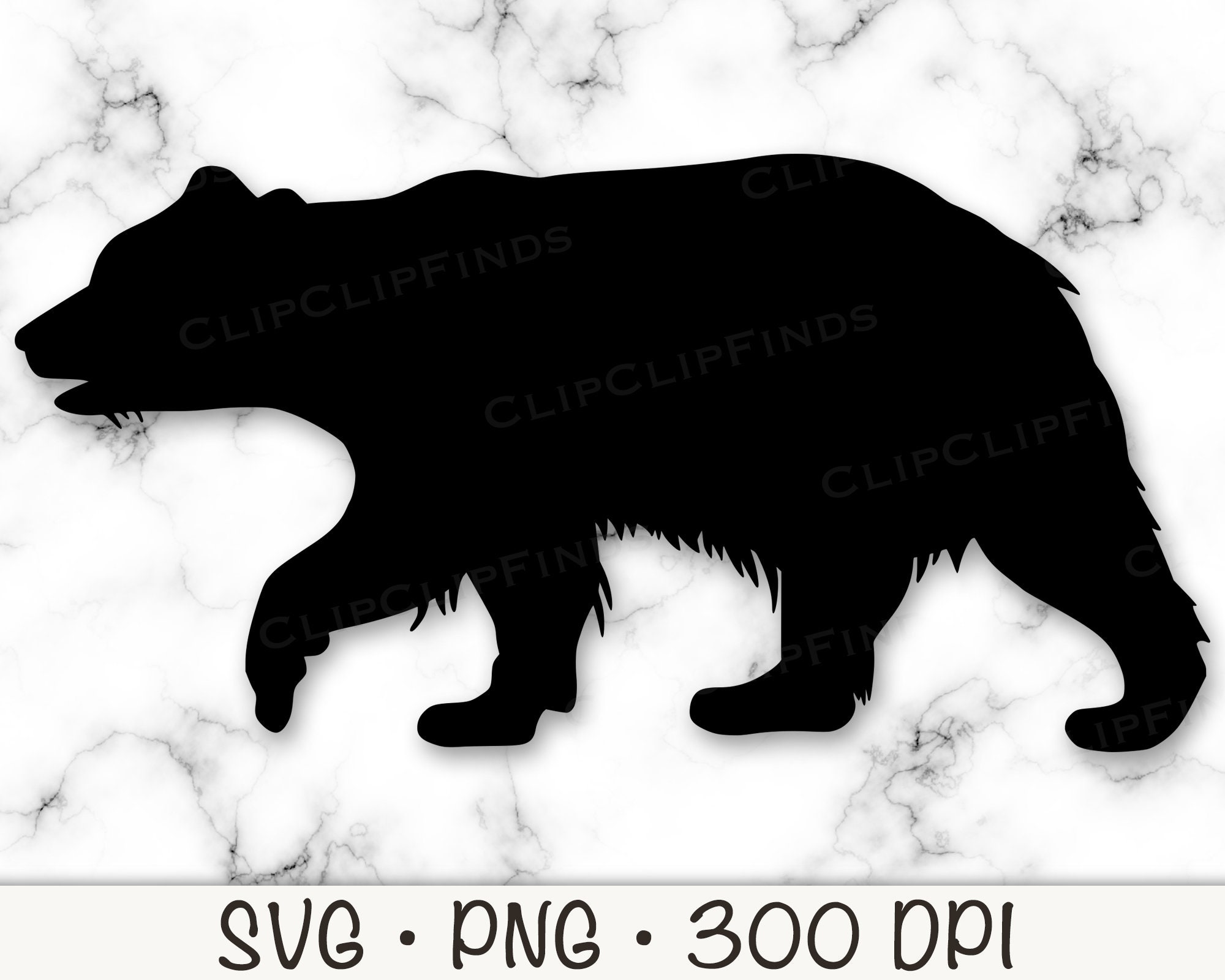 Bear, Grizzly Bear, SVG Vector Cut File and PNG Transparent ...