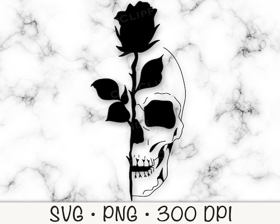 Sui Gatti Bianchi E Neri C'è Una Bellissima Leggenda Celtica Che Dovresti Assolutamente Conoscere - Foto 7