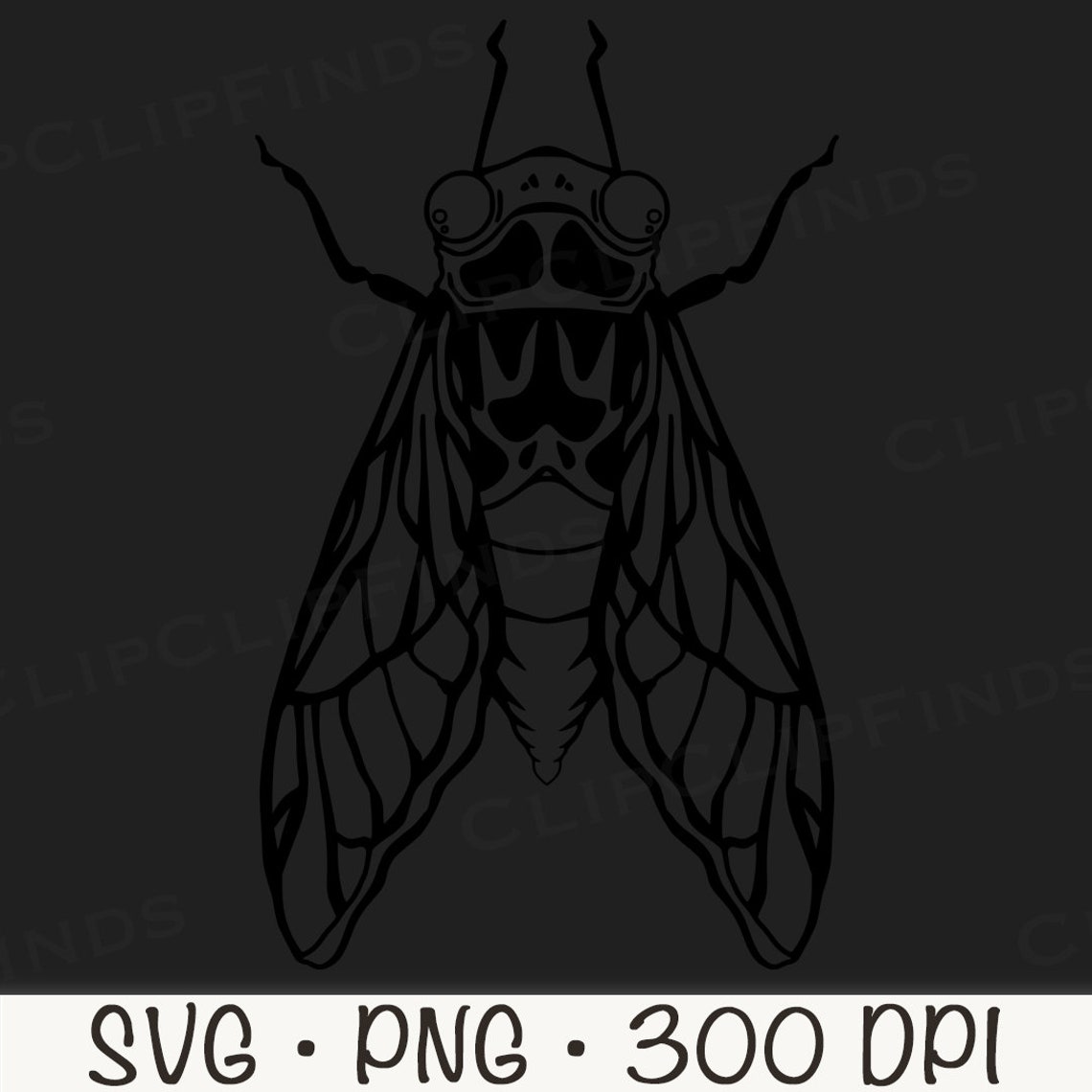 Cicada Shell Vector Cicada Outline: Vector SVG, PNG Clip Art (digital Download) - Etsy Canada