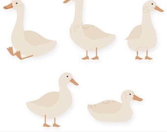 Oca SVG, Oca PNG, Oca Clipart, File di download digitale