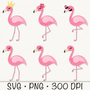 May include: Six pink flamingo illustrations with different accessories. The flamingos are all facing the right side of the image. One flamingo has a gold crown, one has a pink flower, one has pink sunglasses, and three have no accessories.