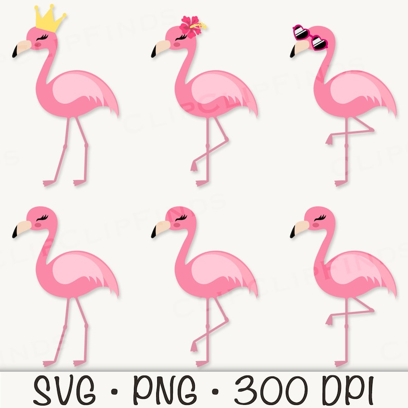 May include: Six pink flamingo illustrations with different accessories. The flamingos are all facing the right side of the image. One flamingo has a gold crown, one has a pink flower, one has pink sunglasses, and three have no accessories.