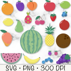 Fruit Clipart, Fruit SVG, Fruit PNG, Cute Fruit Bundle Pack, Raspberry, Plum, Watermelon, Pomegranate, Lime, Lemon, Digital Download
