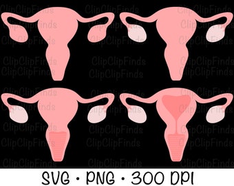 Uterus, Ovaries, Organ, SVG, PNG, Clip Art, Sublimation, Instant Digital Download