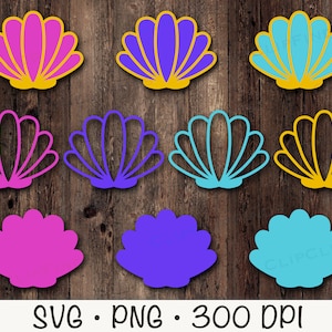 Coquillage SVG, contour de coquillage, coquillage solide, mignons coquillages PNG, coquillages colorés, vie marine, clipart sirène, téléchargement immédiat