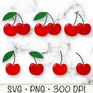Kirschen SVG, Kirschen PNG, Kirschen Clipart, einzelne Kirsche, gepaarte Kirschen, Doppelkirsche, Kirsch Bundle Pack, digitaler Download