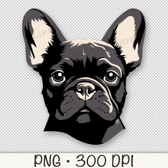 フレンチブルドッグ PNG、フレンチブルドッグの顔、フレンチブルドッグ