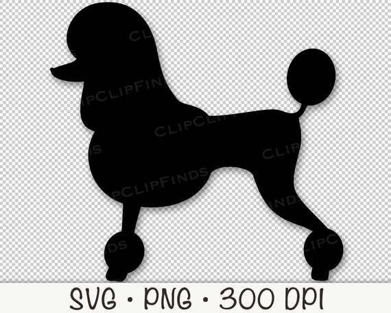 French poodle cheap cut