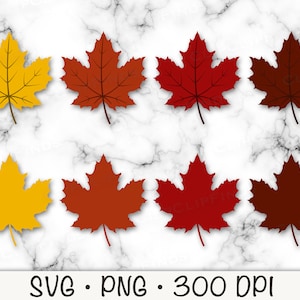 Fall Leaves, Autumn Leaves, SVG Vector File and PNG Transparent Background, Clip Art, Instant Download