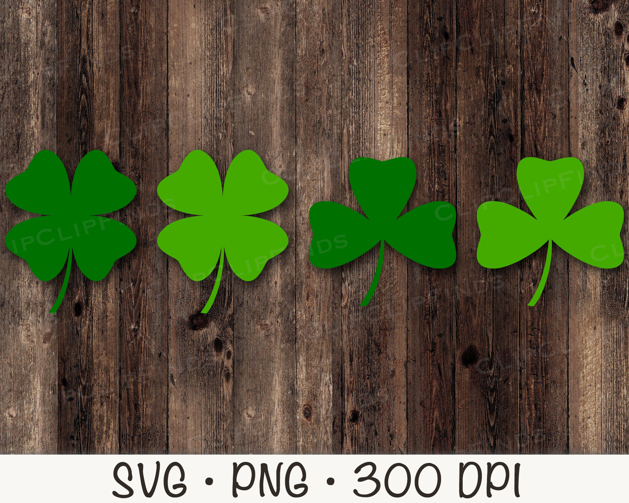 Four Leaf Clover PNG Transparent Images Free Download, Vector Files