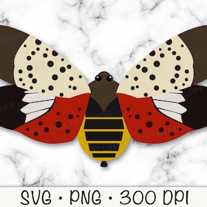 Spotted Lanternfly SVG, Lanterfly PNG, Lanternfly Clip Art, NYC, Cicada, Instant Digital Download