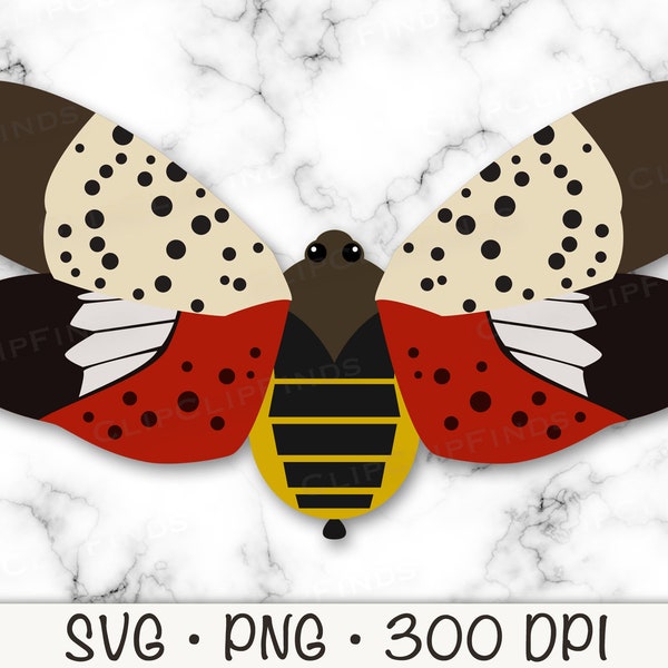 Spotted Lanternfly SVG, Lanterfly PNG, Lanternfly Clip Art, NYC, Instant Digital Download