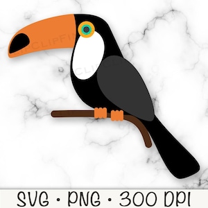 Toucan SVG, Toucan PNG, Toucan Clipart, Toucan Tropical Bird, Digital Download File