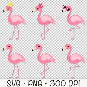 May include: Six pink flamingo illustrations with different accessories. The flamingos are all facing the right side of the image. One flamingo has a gold crown, one has a pink flower, one has pink sunglasses, and three have no accessories.