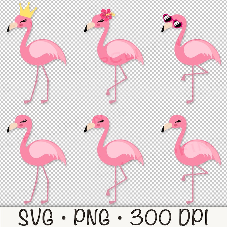 May include: Six pink flamingo illustrations with different accessories. The flamingos are all facing the right side of the image. One flamingo has a gold crown, one has a pink flower, one has pink sunglasses, and three have no accessories.
