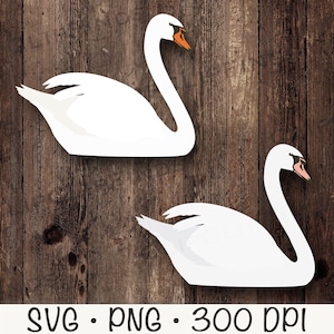 Swan SVG, Swan PNG, Swan Clipart, Digital Download