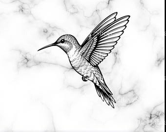 Colibrì SVG, contorno di colibrì PNG, clipart di colibrì, colibrì, uccello tropicale, file digitale scaricabile