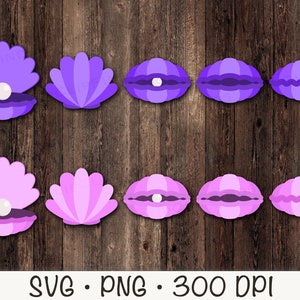 Concha SVG, Concha con perla, Conchas PNG lindas, Conchas coloridas, Vida marina, Clipart de sirena, Almeja, Descarga digital instantánea