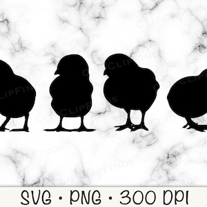 Baby Küken Silhouette SVG Vektor geschnitten Datei und PNG transparenten Hintergrund Sublimation Clip Art Instant Download