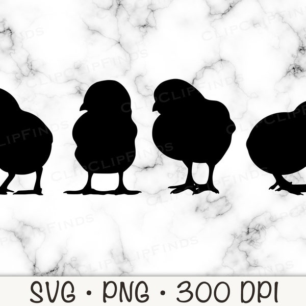 Baby Küken Silhouette SVG Vektor geschnitten Datei und PNG transparenten Hintergrund Sublimation Clip Art Instant Download