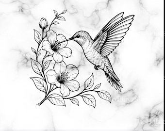Colibrì floreale SVG, Colibrì PNG, Clipart di colibrì, Contorno, Colibri, Ibisco, File digitale scaricabile
