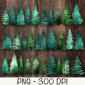 Pacchetto bundle PNG di pino dell'acquerello, alberi sempreverdi, clipart foresta, download digitale istantaneo