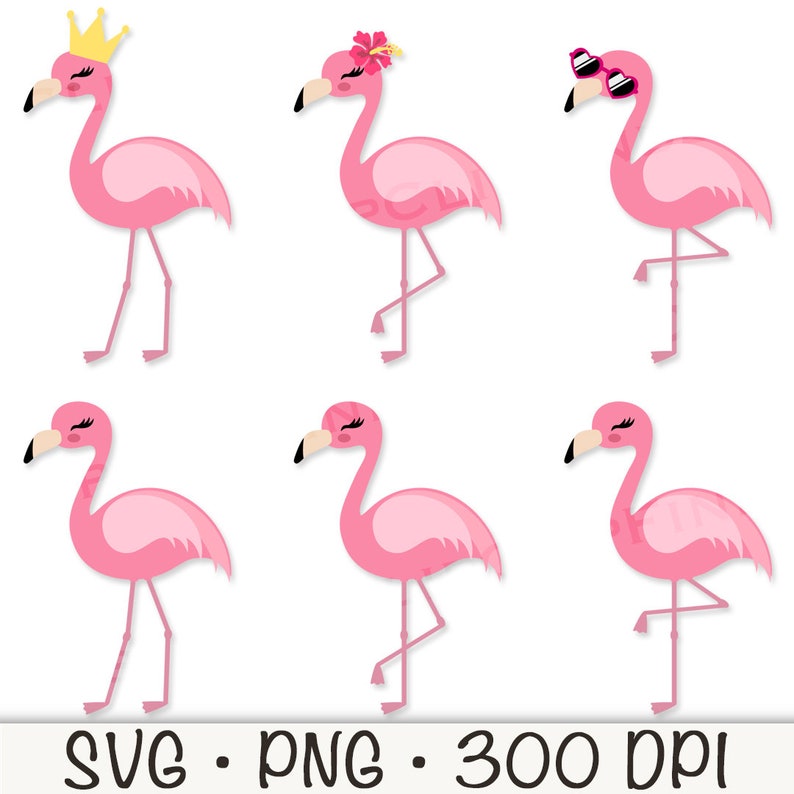 May include: Six pink flamingo illustrations with different accessories. The flamingos are all facing the right side of the image. One flamingo is wearing a gold crown, one is wearing a pink flower, one is wearing pink sunglasses, and three are without accessories.