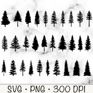 Pine Tree Silhouette SVG Bundle Pack, Evergreen Trees PNG, Instant Digital Download