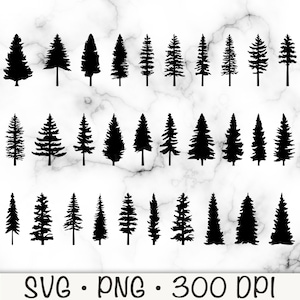 Pacchetto di sagome di pino in formato SVG, alberi sempreverdi in formato PNG, download digitale istantaneo