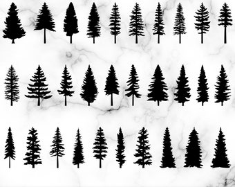 Kiefernbaum Silhouette SVG Bundle Pack, Evergreen Trees PNG, sofortiger digitaler Download