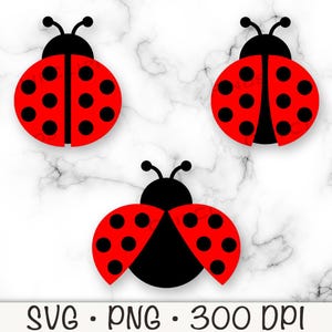 Coccinelle SVG, coccinelle PNG, clipart coccinelle, fichier en téléchargement numérique
