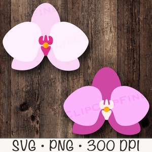 Orchidee SVG, Orchidee PNG, Orchidee Clipart, Orchidee Blume, Tropische Blume, digitaler Download