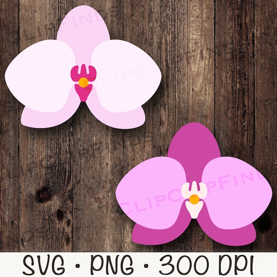 Orchid SVG, Orchid PNG, Orchid Clipart, Orchid Flower, Tropical Flower, Digital Download