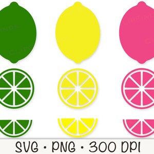 Lemon SVG, Lime SVG, Pink Lemon, Bundle Pack, Icon Symbol, Vector Cut ...