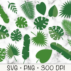 Tropische bladeren SVG, Monstera bladeren SVG, jungle bladeren PNG, tropische clipart, instant digitale download