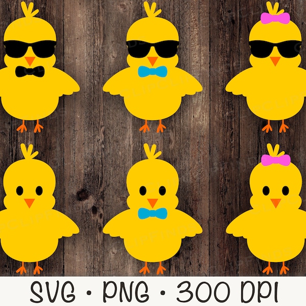 Cool Baby Chicks, Chicks with Sunglasses, Boy Chick, Girl Chick, SVG PNG, Instant Digital Download