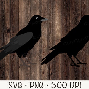 Two Crows Svg Crow Clip Art: Hand-drawn Bird SVG, PNG (digital Download) - Etsy